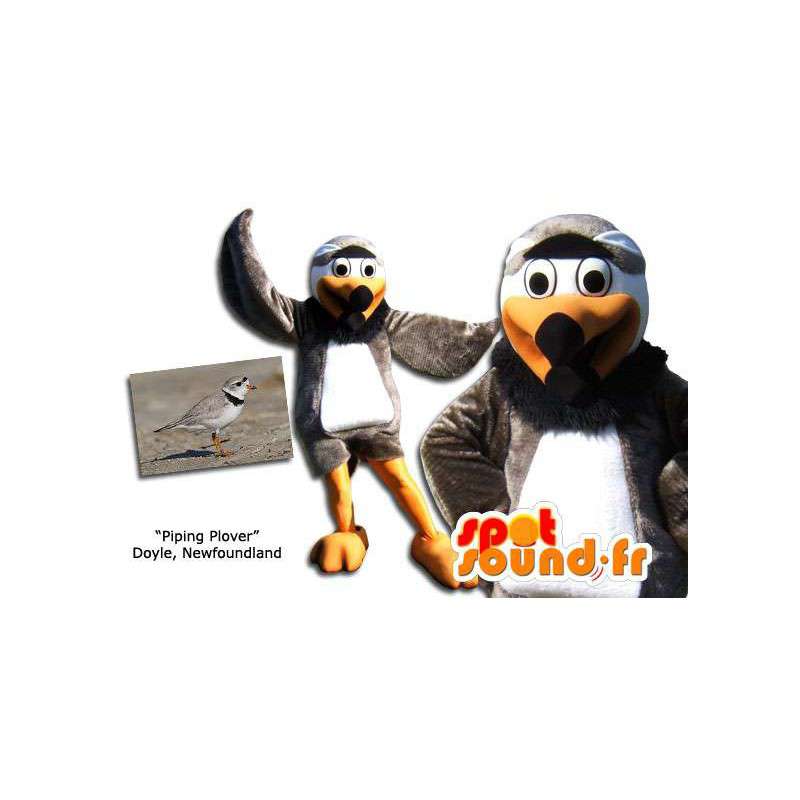 Purchase Plover bird mascot. Bird costume in Mascot of birds Color