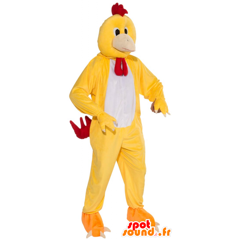 Kylling Maskot Hane Gult Hvitt Og Rodt I Mascot Honer Roosters Chickens