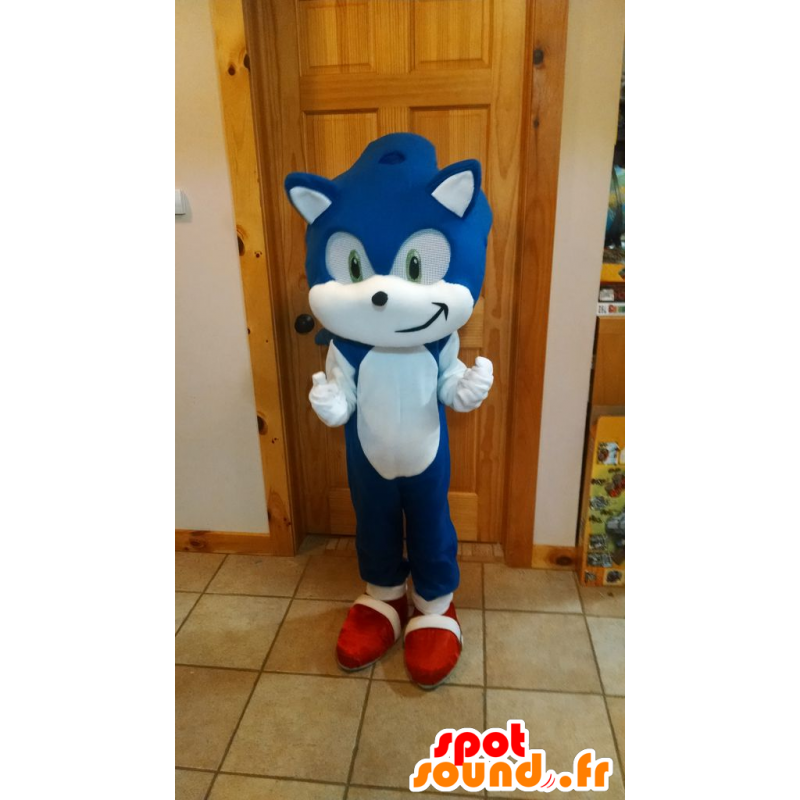 Disguise Fantasia Sonic 2 para adultos do filme Sonic, Conforme