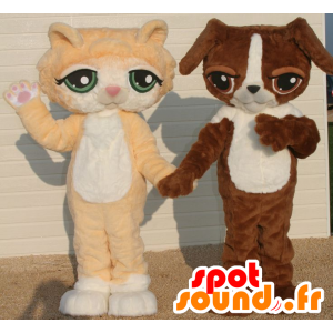 2 Haustiere, eine orange und weiße Katze und einem braunen und weißen Hund - MASFR22081 - Hund-Maskottchen