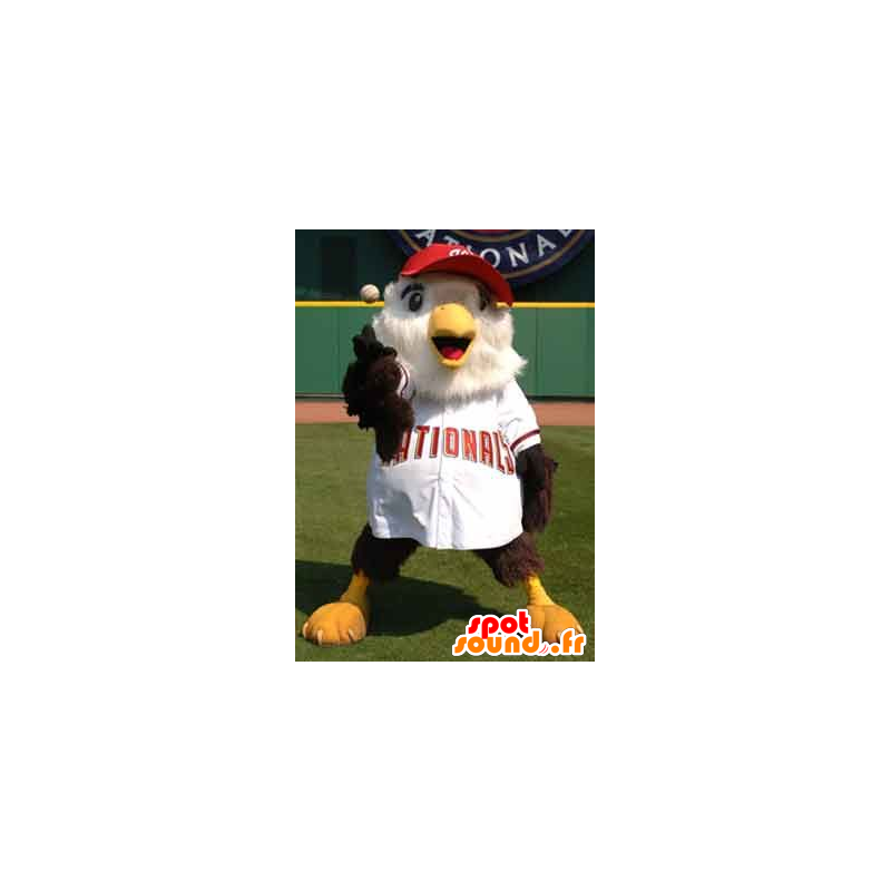マスコットの鳥 の 野球の衣装に大きな茶色と白の鳥のマスコット 色変更 変化なし 切る L 180 190センチ 撮影に最適 番号 服とは 写真にある場合 番号 付属品 番号