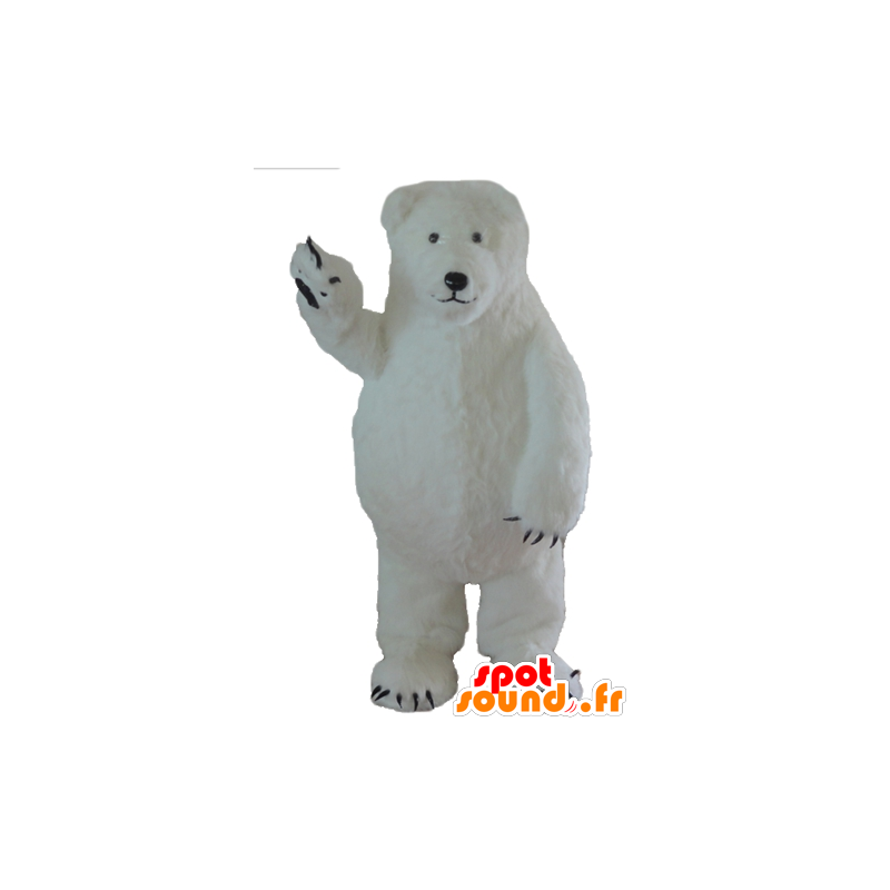 Polar Bear mascotte, ijsberen, grote en harige - MASFR22642 - Bear Mascot