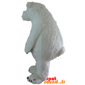 Polar Bear mascotte, ijsberen, grote en harige - MASFR22642 - Bear Mascot