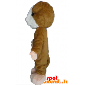 Mascotte de hamster marron et blanc, doux et poilu - MASFR22830 - Mascottes Animaux domestiques