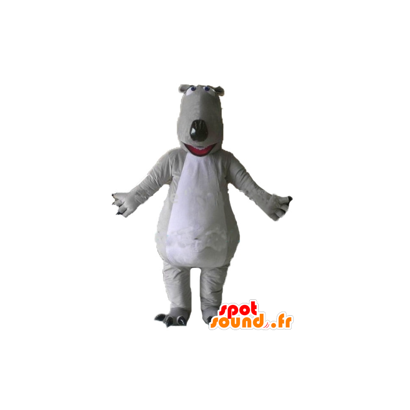 Grigio e bianco orsi mascotte, giganti e impressionanti - MASFR23007 - Mascotte orso