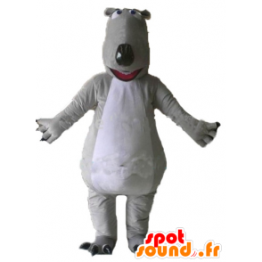 Grigio e bianco orsi mascotte, giganti e impressionanti - MASFR23007 - Mascotte orso