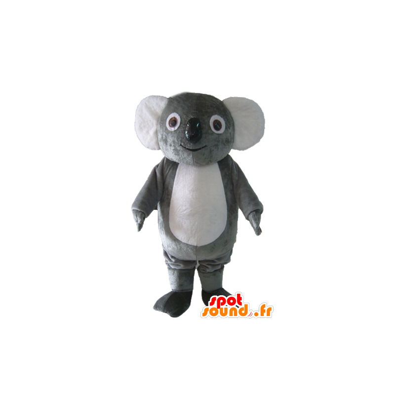 Mascote cinza e koala branco, gordo, doce e engraçado - MASFR23039 - Koala Mascotes