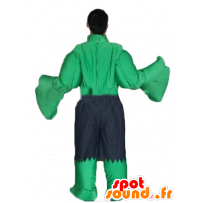 Mascot Hulk berømte grønne Marvel karakter - MASFR23349 - kjendiser Maskoter