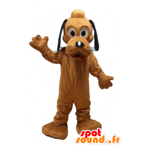 Mascota del perro Pluto famosa naranja Disney Plutón - MASFR23620 - Personajes famosos de mascotas