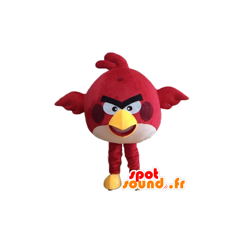 Red Bird mascote, do famoso jogo Angry birds - MASFR23622 - Celebridades Mascotes