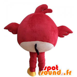 Maskot Red Bird, slavné hry Angry Birds - MASFR23622 - Celebrity Maskoti