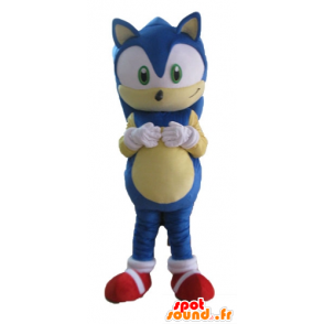 Mascot Sonic, o famoso jogo de vídeo ouriço azul - MASFR23688 - Celebridades Mascotes