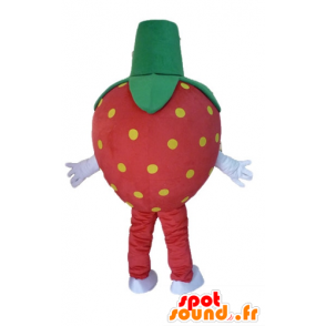 TML] Cosplay frutta anguria arancia fragola mascotte Costume