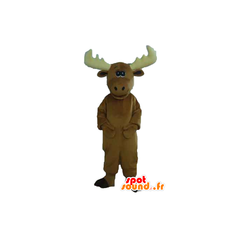 Moose mascot, brown caribou, very cute and impressive - MASFR23914 - Animals of the forest