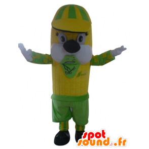 Klas maskot žluté a zelené kukuřice, obří - MASFR24221 - potraviny maskot