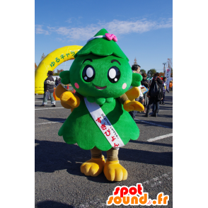 Verde e giallo albero mascotte, gigante carino - MASFR25353 - Yuru-Chara mascotte giapponese