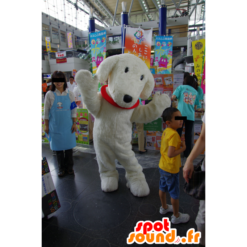 Mascot cão branco com um colar vermelho - MASFR25537 - Yuru-Chara Mascotes japoneses