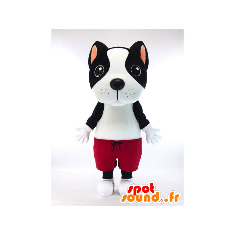 ゆるキャラマスコット日本人 の マスコットkiyatsuchi 赤パンツと黒と白の犬 色変更 変化なし 切る L 180 190センチ 撮影に最適 番号 服とは 写真にある場合 番号 付属品 番号