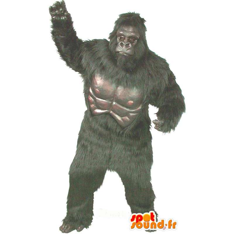 Laut sprechen Weltweit legal gorilla kostüm günstig Keil Gesundes Essen ...