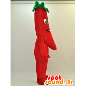 Togarashi Monjiro maskot. Röd och grön peppar maskot -