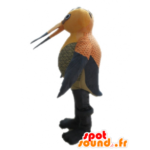 Mascot orange und grau Vogel. Mascot Kolibri - MASFR028714 - Maskottchen der Vögel