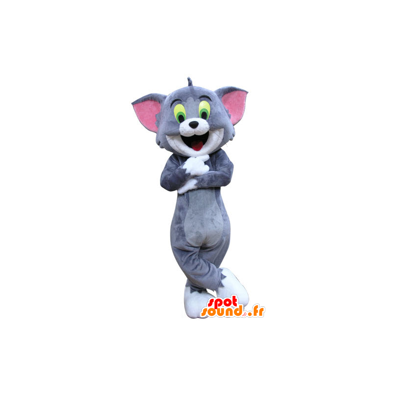 Voorkeursbehandeling radar Stuiteren Koop Tom mascotte, de beroemde cartoon kat Tom en Jerry in Mascottes Tom  and Jerry Kleur verandering Geen verandering Besnoeiing L (180-190 cm) Goed  om te fotograferen Neen Met de kleren? (indien