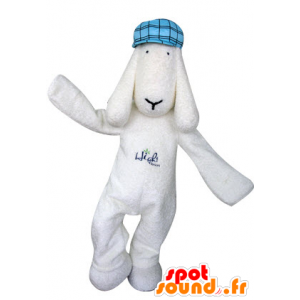 Mascotte cane bianco con berretto blu - MASFR031300 - Mascotte cane