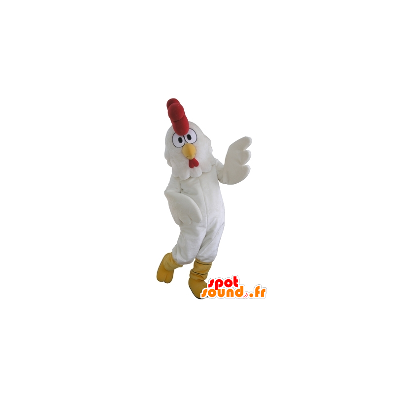 Haan ​​mascotte, reusachtige witte kip - MASFR031652 - Mascot Hens - Hanen - Kippen