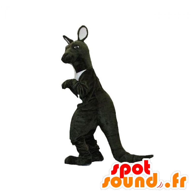 Preto e branco mascote canguru. gigante Kangaroo - MASFR031864 - mascotes canguru