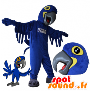 Mascot blauen und gelben Papagei. Vogel-Maskottchen - MASFR032172 - Maskottchen der Papageien