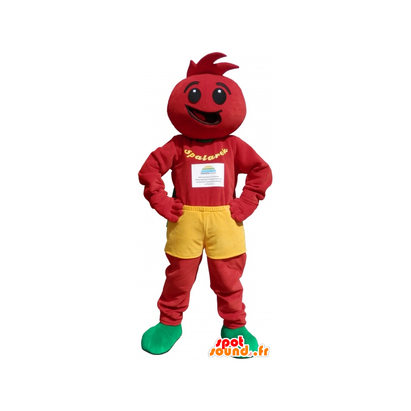 Purchase Tomato costume. Tomato disguise in Fruit mascot Color change ...