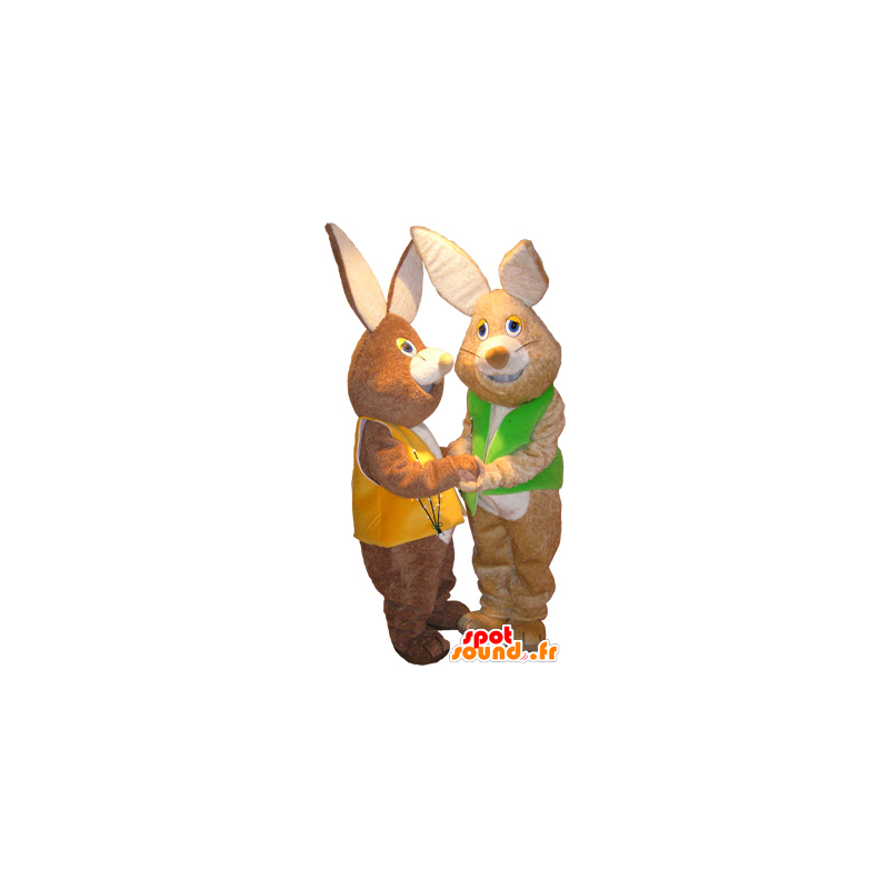 マスコットのウサギ の ソフトベストを運ぶ2匹のマスコット茶色のウサギ