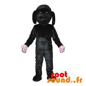 Black Dog Mascot, dolce e...