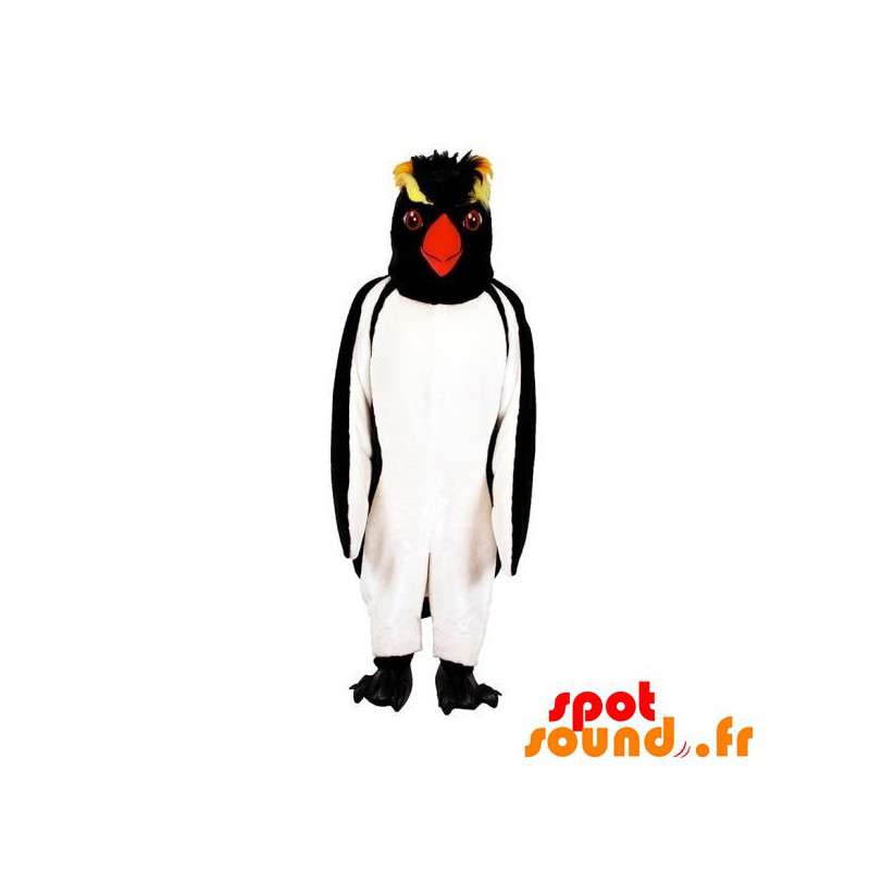 Penguin Wearing A Red Dress At The Zoo Stock Photo, Picture and