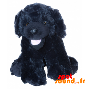 peluche chien noir et blanc