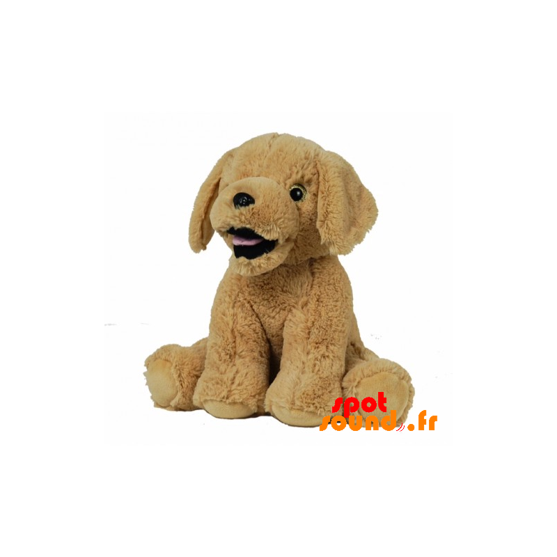 peluche chien beige