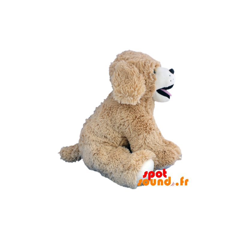 peluche chien beige