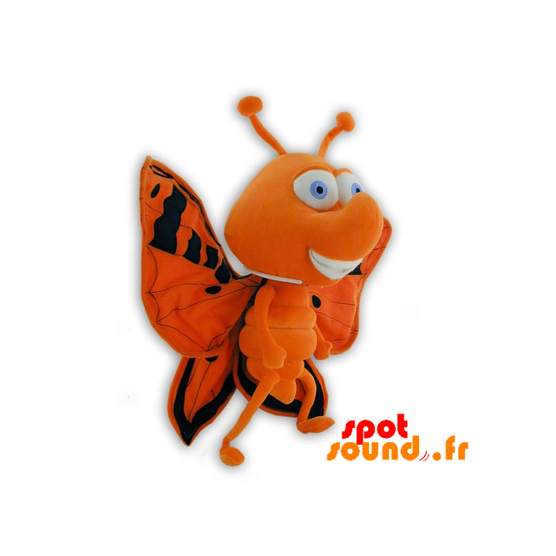 peluche papillon