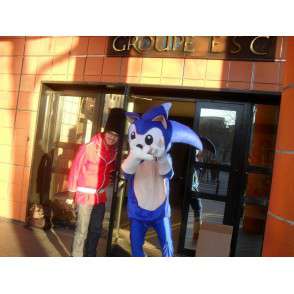 Maskot SONIC - kostýmy videohry SEGA - modrý ježek - MASFR00526 - Celebrity Maskoti