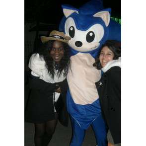 Mascot SONIC - Costume video games SEGA - blauwe egel - MASFR00526 - Celebrities Mascottes