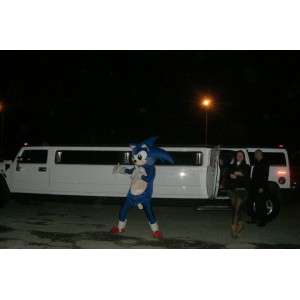 SONIC Mascot - Costume SEGA videogiochi - Blue Hedgehog - MASFR00526 - Famosi personaggi mascotte