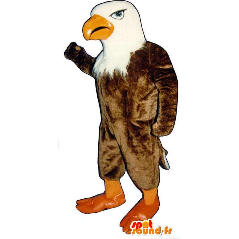 Mascot marrón y águila blanca - Disfraz de peluche águila en Mascota de  aves Cambio de color Sin cambio Tamaño L (180-190 cm) Croquis antes de  fabricar (2D) No ¿Con la ropa? (