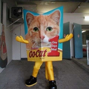 Mascotte du jour chez SPOTSOUND: Mascotte d'emballage de croquettes pour chat . Découvrez les mascottes @spotsound_mascots #mascotte #mascottes #marketing #costume #spotsound #personalisé #streetmarketing #guerillamarketing #publicité . Lien: https://www.spotsound.fr/fr/4886-mascotte-d-emballage-de-croquettes-pour-chat.html