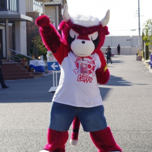 Mascotte du jour chez SPOTSOUND: Mascotte de taureau, de buffle rouge et blanc, tout poilu . Découvrez les mascottes @spotsound_mascots #mascotte #mascottes #marketing #costume #spotsound #personalisé #streetmarketing #guerillamarketing #publicité . Lien: https://www.spotsound.fr/fr/25496-Mascotte-de-taureau-de-buffle-rouge-et-blanc-tout-poilu.html