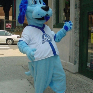 Mascotte du jour chez SPOTSOUND: Mascotte de chien bleu en maillot de foot - Costume de chien bleu . Découvrez les mascottes @spotsound_mascots #mascotte #mascottes #marketing #costume #spotsound #personalisé #streetmarketing #guerillamarketing #publicité . Lien: https://www.spotsound.fr/fr/3336-mascotte-de-chien-bleu-en-maillot-de-foot-costume-de-chien-bleu.html