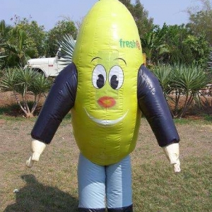 Mascotte du jour chez SPOTSOUND: Mascotte banane verte en ballon gonflable . Découvrez les mascottes @spotsound_mascots #mascotte #mascottes #marketing #costume #spotsound #personalisé #streetmarketing #guerillamarketing #publicité . Lien: https://www.spotsound.fr/fr/4997-mascotte-banane-verte-en-ballon-gonflable.html